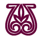 VISANU logo